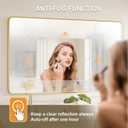 LED Bathroom Mirror with Lights, 20x28 Inch Brushed Gold Metal Frame LED Mirror for Bathroom, Stepless Dimmable 3 Colors Wall Mounted Lighted Bathroom Vanity Mirror, Anti-Fog, Memory
