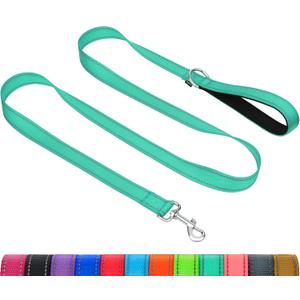 Taglory Dog Leash for Medium Large Dogs, Double-Sided Reflective Leash with Soft Neoprene Padded Handle, 1 inch by 6 ft, Fit Medium Large Breeds 20-150 lbs, Turquoise