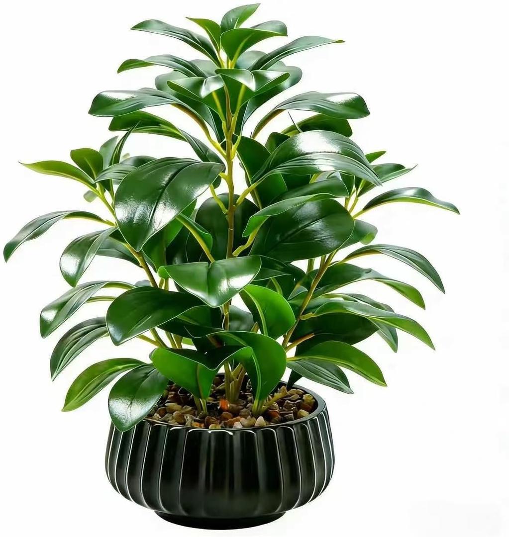 16" Artificial Peperomia Potted Plant in Black Ribbed Ceramic Planter Realistic Faux Green Leaves Tabletop Branches for Indoor Home Office Living Room Shelf Desk Decor, Plant C