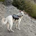 Adventure Backpack - Pink - XL