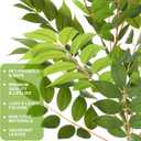 Giegxin 6 Pcs 35.4 Inch Artificial Wisteria Leaves Branches Faux Leaf Spray Green Branches Artificial Greenery Stems Fake Plants Stems for Home Office Vase Filler Wedding Party Decoration Centerpiece