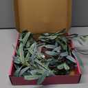 LITBLOOM Lighted Olive Garland Battery Operated with Timer 96 Fairy Lights 6FT, Artificial Greenery Twig Vine Lights for Christmas Spring Fireplace Mantle Decoration Indoor Outdoor