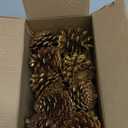 16 Pack Large Natural Pinecones, 1.97" - 2.95" Christmas Ornaments for DIY Crafts, Home Decorations, Thanksgiving Decorations, Fall and Christmas, Wedding DecorGolden