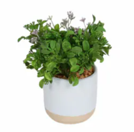 HD Designs Bloom Greenery, 4 in 
