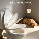Toilet Seat Elongated Almond, 18.5 x 14.2 Inch, Slow Close, Bottom-Mount Design, Fits 2-Piece Toilets, Durable & Easy to Install, PP Material Safe and Durable