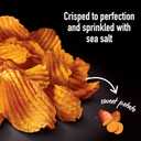 Terra Vegetable Chips, Sweet Potato with Sea Salt Vegetable Chips, 2 Oz (Pack of 8) (EXP 12/25/25)