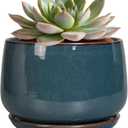 G EPGardening Ceramic Planter 6 Inch - Round Modern Ceramic Pot for Plants with Drainage and Plant Tray Indoor for Flower, Apartment Decor, Housewarming Gifts New Home, Retro Blue