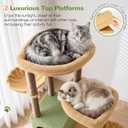 Globlazer Cactus Cat Tree Tower for Indoor Cats Large Adult, S63, Green
63 inch Sturdy Adult Cat Tree House with 2 Platform, 6 Cat Scratching Post, 2 Cat Caves, Dangling Toys