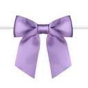 Rainbow Pana 120 Pack Twist Tie Bows for Treat Bags 3" Violet Satin Ribbon Bows for Package Craft Gift Wrapping Decoration