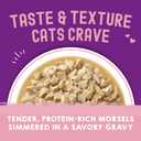 Stella & Chewy's Carnivore Cravings Wet Cat Food Pouches - Premium Chicken & Salmon Recipe - Grain-Free Morsels & Gravy - Perfect for Picky Eaters - Complete Meal or Topper - 2.8oz, 24-Pack