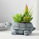 Turtle Planter Sea Turtle Succulent Pots with Drainage Hole, Resin Plant Pots for Succulents Home Office Desktop Decorations,Small Flower Pots for Outdoor Garden Decor,Turtle Gifts for Women (Gray B)