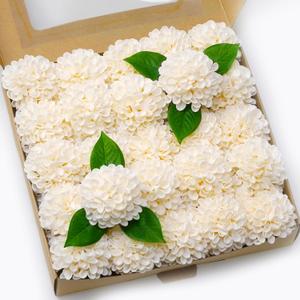 Artificial Wedding Dahlia Flowers 25 pcs Ivory Fake Roses w/Stem for DIY Wedding Decor Centerpieces Arrangements Bouquets(Champagne)