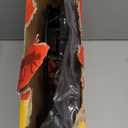 Over The Door Basketball Hoop, 2025 Upgrade Indoor Basketball Hoop with LED Lights and Scoreboard, Includes 3 Balls & Pump, Toys Gifts for3 4 5 6 7 8 9 10 11 12 Year Old Boys - Mini Basketball Hoop