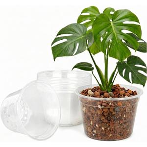 5 Gallon Clear Nursery Pots 10 Pack, 12 Inch Large Plastic Plant Pots with Drainage Holes, Transparent Planters for Root Monitoring, Seedlings, Vegetables, Flower, Indoor Outdoor