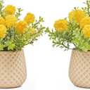 Fake Plants Small with 2 Pack, The Goleden Ball Flower for Bathroom Shelf Decor, Decorative Plants for Home Living Room Office Bedroom Table Tray Shelve Farmhouse Decor Indoor(Yellow)