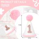Pink First Birthday Party Crown for Baby Girls - Blush 1st Birthday Hat