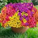 20 Bundles Artificial Flowers for Outdoors, No Fade Fake Silk Flowers with Plastic Plants ,Faux realistic flowers uv resistant for For Patio Window box Porch Garden Wedding Farmhouse Decor(Mixed Color)