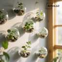 12 lb River Rocks Pebbles for Indoor Plants 3/8-1 Inch Natural Aquarium Gravel Decorative Fish Tank Rocks Garden Landscaping Decor