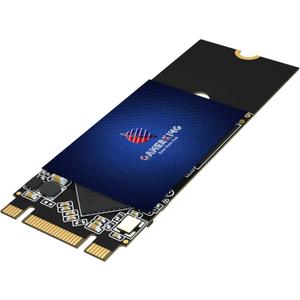 GAMERKING 256GB M.2 2260 SATA III 6Gb/s SSD Internal High Performance Solid State Drive for Desktop Laptop