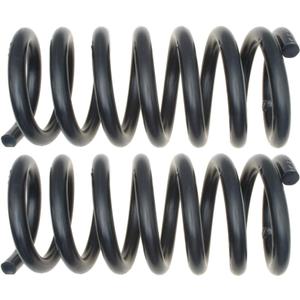 MOOG 81198 Coil Spring Set for Nissan TITAN
