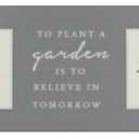 Crystal Art Gallery Plant A Garden Wall Art