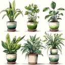 Okarina Paint by Numbers Kit for Adults Beginner, Adult Paint by Number Kits on Canvas, Green Plant DIY Acrylic Oil Painting by Numbers for Adults, Perfect for Home Wall Decor 16X16 Inch (HMOP25304)