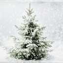 Winter Snowy Pine Tree Bath Rug Xmas Tree Bath Mat 20x32 Inch White Bathroom Plush Rug Extra Soft Absorbent Rug Non Slip Doormat for Bathroom Entryway Living Room (1'8" x 2'8" (Rectangular))