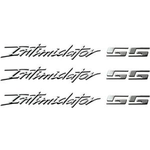 3Pcs Intimidator SS Emblems Domed Badge 3D Decal Sticker Letter Compatible with Chevy Silverado 88980874 17 Inches Long (Chrome)