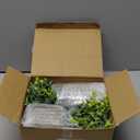 DomeStar 2 Pack Mini Artificial Potted Plants with Gift Bag & Ribbon - Gift Ready Faux Eucalyptus for Housewarming, Office Desk Decor - Cute Appreciation Gifts for Women, Coworkers, Friends (Green)