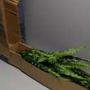 Single Silky Artificial Boston Fern Bush, 49Inch Large Artificial Ferns for Outdoors, Large Faux Ferns Artificial Plants,Suitable for Decorating Office, Living Room Faux Greenery,95Branches