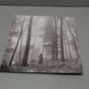 Folklore [Beige 2 LP] Explicit Lyrics, Format: Vinyl