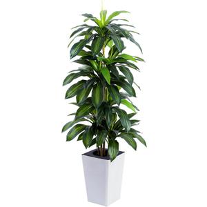 Artificial Dracaena Tree with White Tall Planter, 5ft Tall Potted Artificial Dracaena Silk Plant, Fake Yucca Tree Plant, Home Office Floor Room Decor Plants Indoor Outdoor, Housewarming Gift