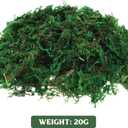 2 x DECHOUS Fake Moss: Artificial Preserved Moss for Plants Bonsai Crafts Fausse Mousse for Terrarium Plant Pot (About 20G)