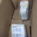 Coterie Baby Swim Diapers, Size Medium (20-34 lbs), 2-Pack (36 Total Diapers) | Disposable Water Diapers for Pool & Beach | Hypoallergenic, No-Swell Design for Sensitive Skin