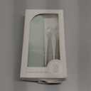 LITTLE RAWR Silicone Baby Feeding Spoons with Storage Box, First Stage Infant Soft-Tip Easy on Gums I Training Spoon Self | Utensils Supplies (Green)