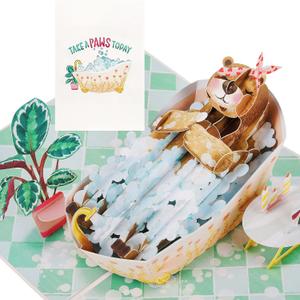 2 x Liif 3D Pop Up Birthday Card for Women, Mom, Friend, Sister, with Message Note & Envelop, Size 7 x 5 inch (Take A Paws Today)