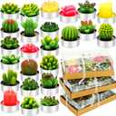 Shihanee 48 Pcs Succulent Cactus Tealights 24 Styles Handmade Mini Plant Tealight Candles Bulk Unscented Smokeless for Wedding Spa Graduation Baby Shower Housewarming Gifts Mexican Party Favors