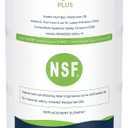 CS150 Pool Filter Cartridge Plus, Fits Jandy CS150, R0462300,1Pack
