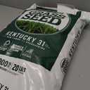 Pennington Kentucky 31 Tall Fescue Grass Seed 20 lbs