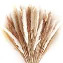 80pcs-Natural Dried Small Pampas Grass Bouquet-20pcs White Pampas, 20pcs Brown Pampas, 30pcs Reed Grass, 10pcs Beige Bunny Tail-22.4" Fluffy Dried Branches Bundle-Home Decor,Wedding Plant Arrangements