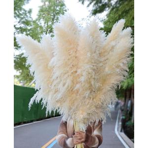 15pcs 40''Dried Pampas Grass Decor Tall-Large pompas Grass-Natural Beige Tall Pampas Grass for Floor Vase,Wedding,Party,Farmhouse,Living Room Floor,Boho Home Decor