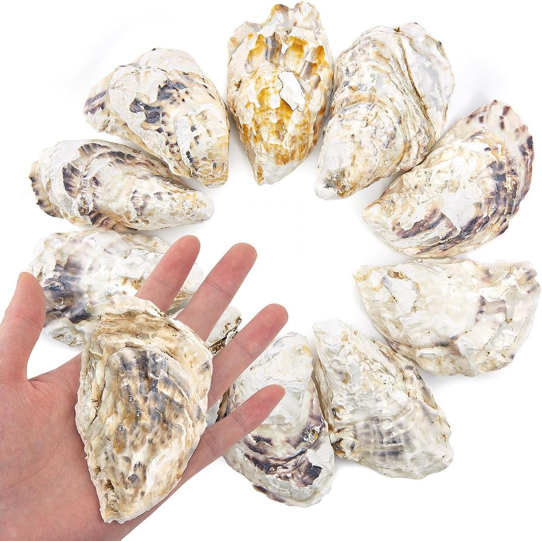 10pcs 3-4in Concave Oyster Shells, Oyster Shells for Crafts,Nautical Decor Vase Filler, Shell Bulk for Home Decor, DIY Crafts Sea Shells, Candle Making