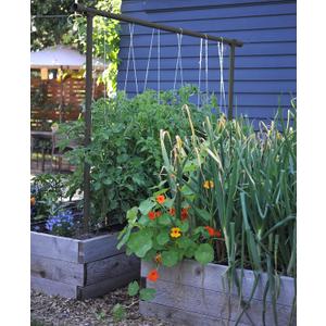 Freyr Trellis - Vegetable Garden Trellis for Tomatoes, Cucumbers, Beans, Peas, and More (Charcoal)