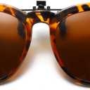 Long Keeper Polarized Clip on Sunglasses Over Prescription Women Men with UV Protection Clip on Cat Eyeglasses