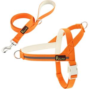 Plutus Pet Cotton Dog Harness and Leash Set, Reflective and Soft Padded, Quick Fit Vest Harness, for Small, Medium and Large Dogs, Orange, XXS