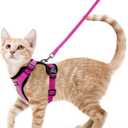 rabbitgoo Cat Harness and Leash for Walking, Escape Proof Soft Adjustable Vest Harnesses for Cats, Easy Control Breathable Reflective Strips Jacket, Rose Red,S