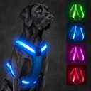 Light Up Dog Harness,Led Dog Harness Rechargeable,Lighted Dog Harness Glow in The Dark, LED Dog Vest Reflective,Light Up Harness for Dogs,Dog Lights for Night Walking(Blue,M)