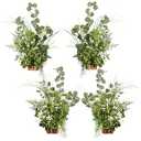 Ling's Moment 17.5" Tall Free-Standing Artificial Flowers Arrangements 4 pcs Wedding Aisle Runner Chair Decorations White & Green Centerpieces for Ceremony Reception Rose Floral Party Outdoor