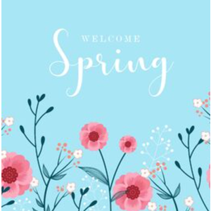 2PCS Welcome Spring Tote bag for Shopping