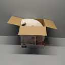 Sunbeam Royal Posh Velvet Heated Electric Blanket Queen Size, 90" x 84", 12 Heat Settings, 12-Hour Selectable Auto Shut-Off, Fast Heating, Machine Washable, Warm and Cozy, Champagne